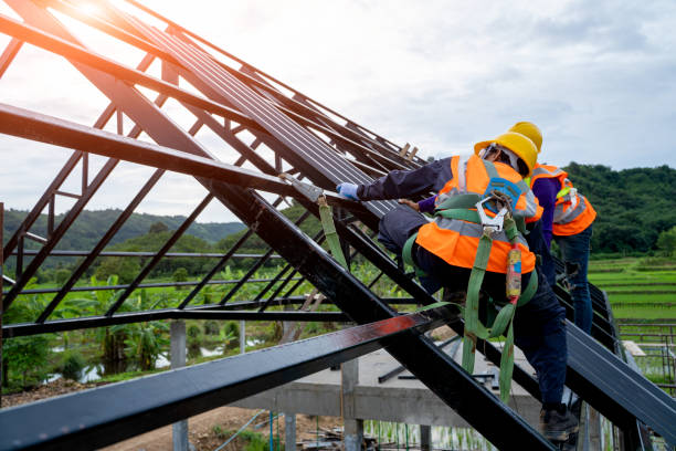Best Roof Replacement Cost  in Morrice, MI