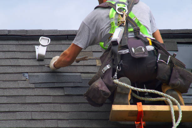 Roof Waterproofing Services in Morrice, MI