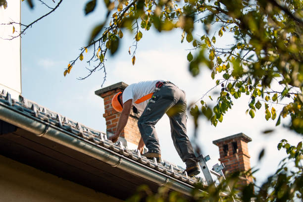 Roof Repair Estimates in Morrice, MI