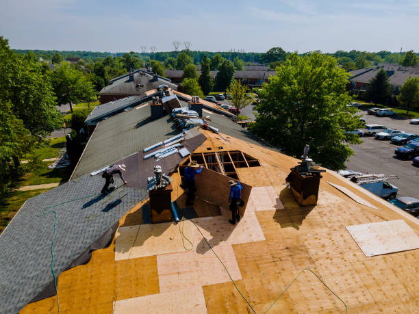 Best Residential Roofing Contractor  in Morrice, MI