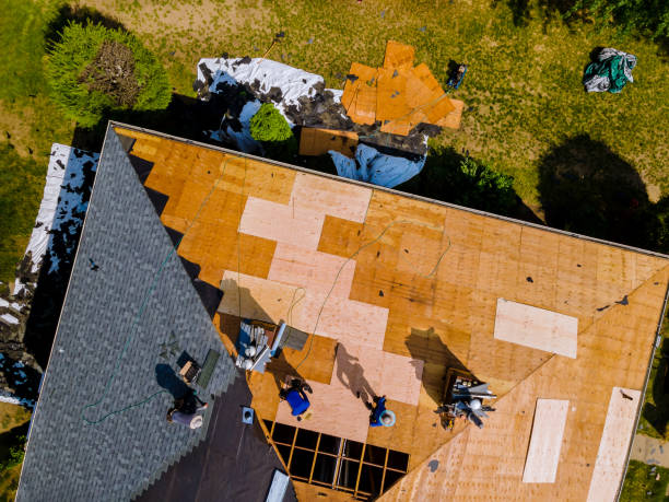 Best New Roof Installation  in Morrice, MI