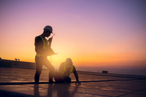 Best Metal Roofing Contractor  in Morrice, MI