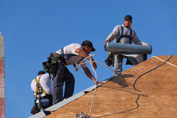 Best Roof Inspection Near Me  in Morrice, MI
