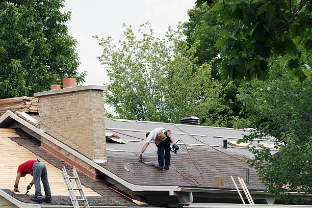 Best Best Roofing Contractors  in Morrice, MI