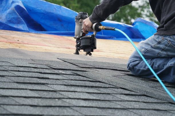 Best Roof Gutter Cleaning  in Morrice, MI