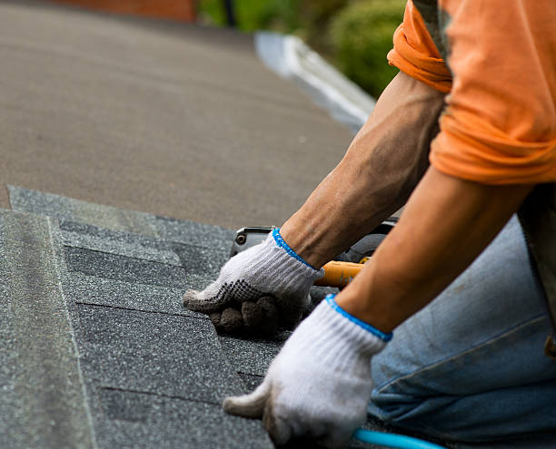 Best Metal Roofing Contractor  in Morrice, MI