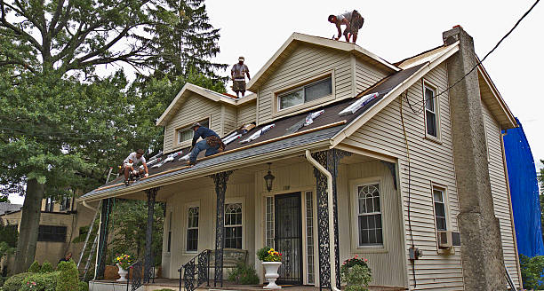Best Flat Roof Repair Services  in Morrice, MI
