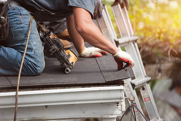 Best Storm Damage Roof Repair  in Morrice, MI