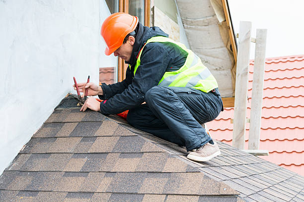 Best Roof Repair Services  in Morrice, MI